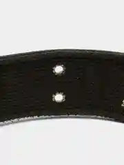 Ошейник комбинированный кожа/брезент, безразмерный, 83 х 4,5 см, ОШ 20-70 см, синий