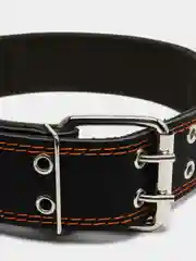 Ошейник комбинированный, кожа, брезент, 83 х 4.5 см, ОШ 50-70 см, чёрный
