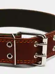 Ошейник комбинированный, кожа, брезент, 83 х 4.5 см, ОШ 50-70 см, коричневый