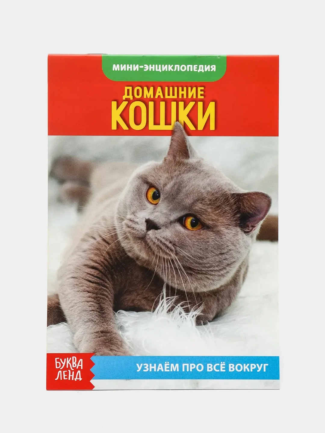 Лазурный книга для детей Мини - энциклопедии
