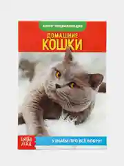 Лазурный книга для детей Мини - энциклопедии