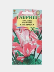 Цикламен Барбаросса (семена,цветы)