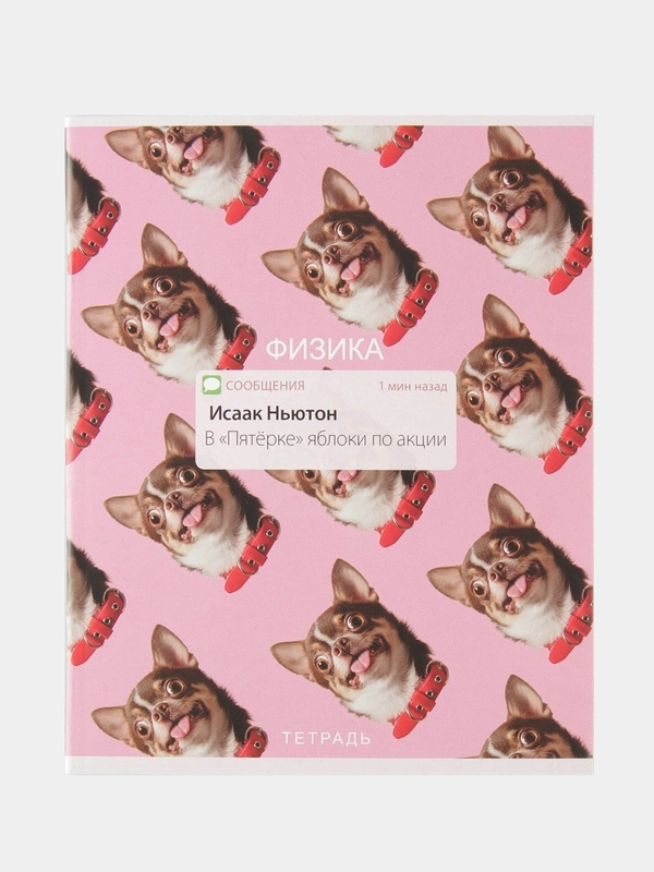 Предметная тетрадь Физика "Уведомления", 48 л