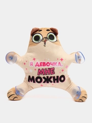 Автоигрушка на присосках "Я девочка, мне можно"