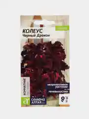 Колеус Черный Дракон (семена,цветы)