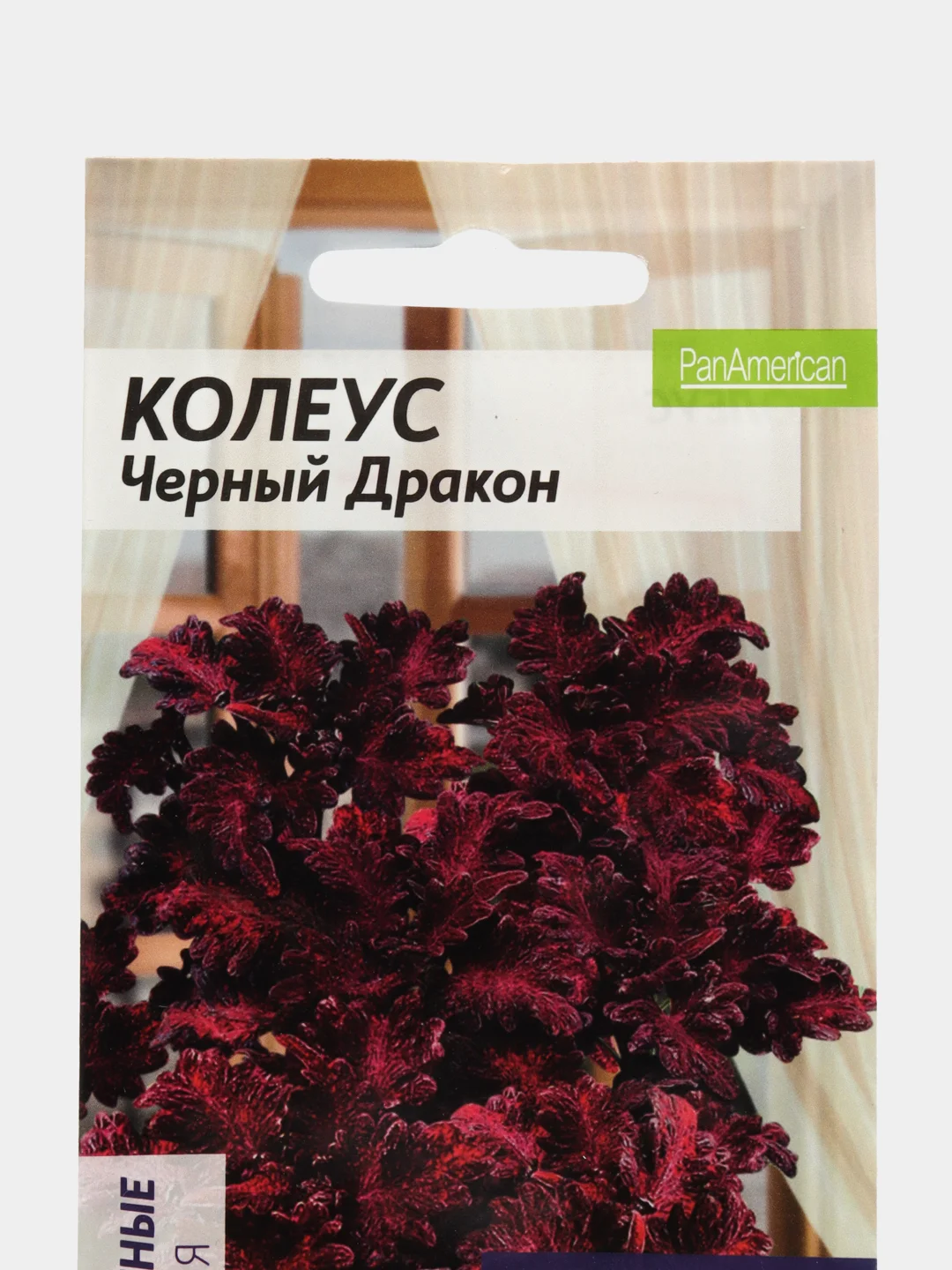 Колеус Черный Дракон (семена,цветы)