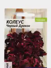 Колеус Черный Дракон (семена,цветы)