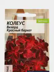 Колеус Визард Красный бархат (семена,цветы)