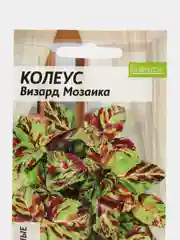 Колеус Визард Мозаика, семена, цветы