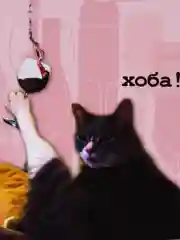 Конфетный прикольная открытка к Дню рождения, А6