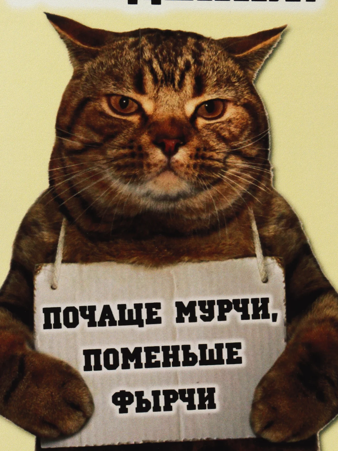 Светло-жёлтый прикольная открытка к Дню рождения, А6