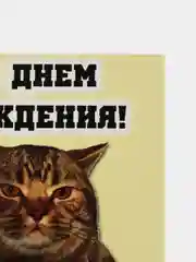 Светло-жёлтый прикольная открытка к Дню рождения, А6