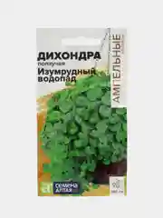 Дихондра Изумрудный Водопад, семена, цветы