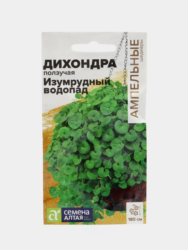 Дихондра Изумрудный Водопад, семена, цветы