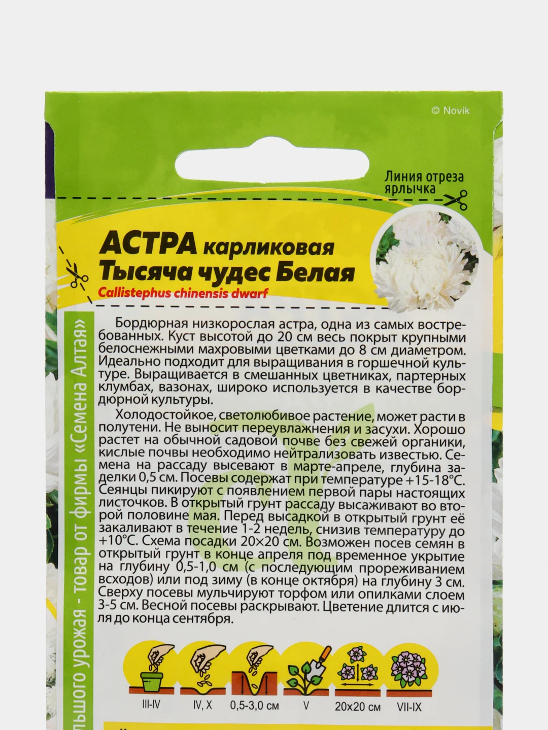 Астра Тысяча чудес, белая, карликовая, семена, цветы