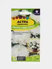 Астра Тысяча чудес, белая, карликовая, семена, цветы