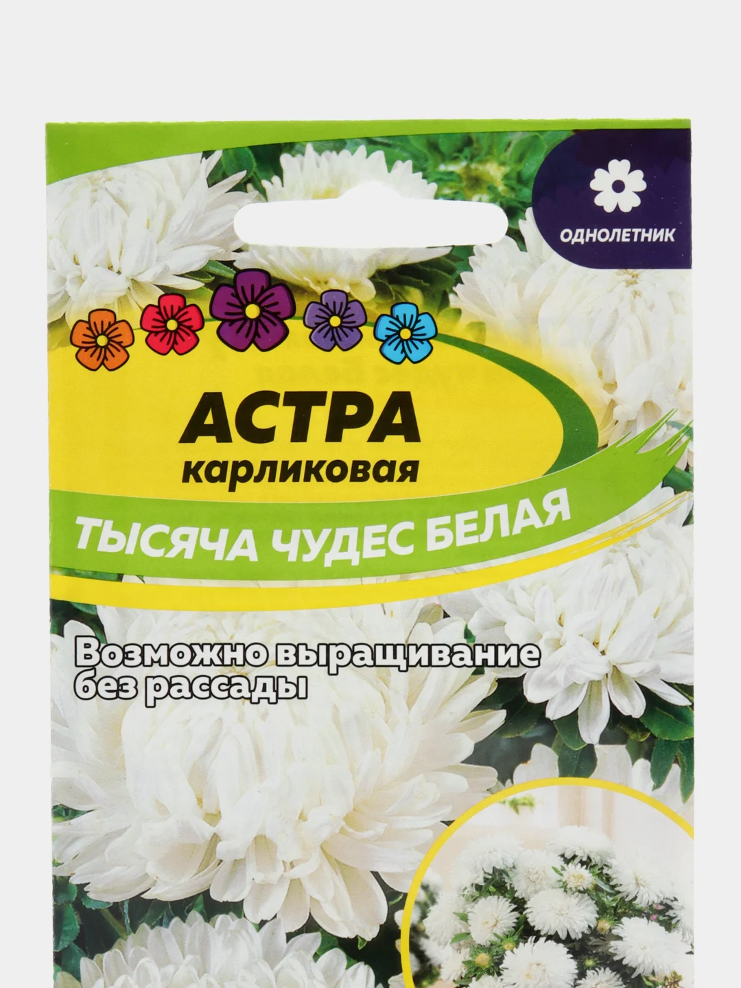 Астра Тысяча чудес, белая, карликовая, семена, цветы