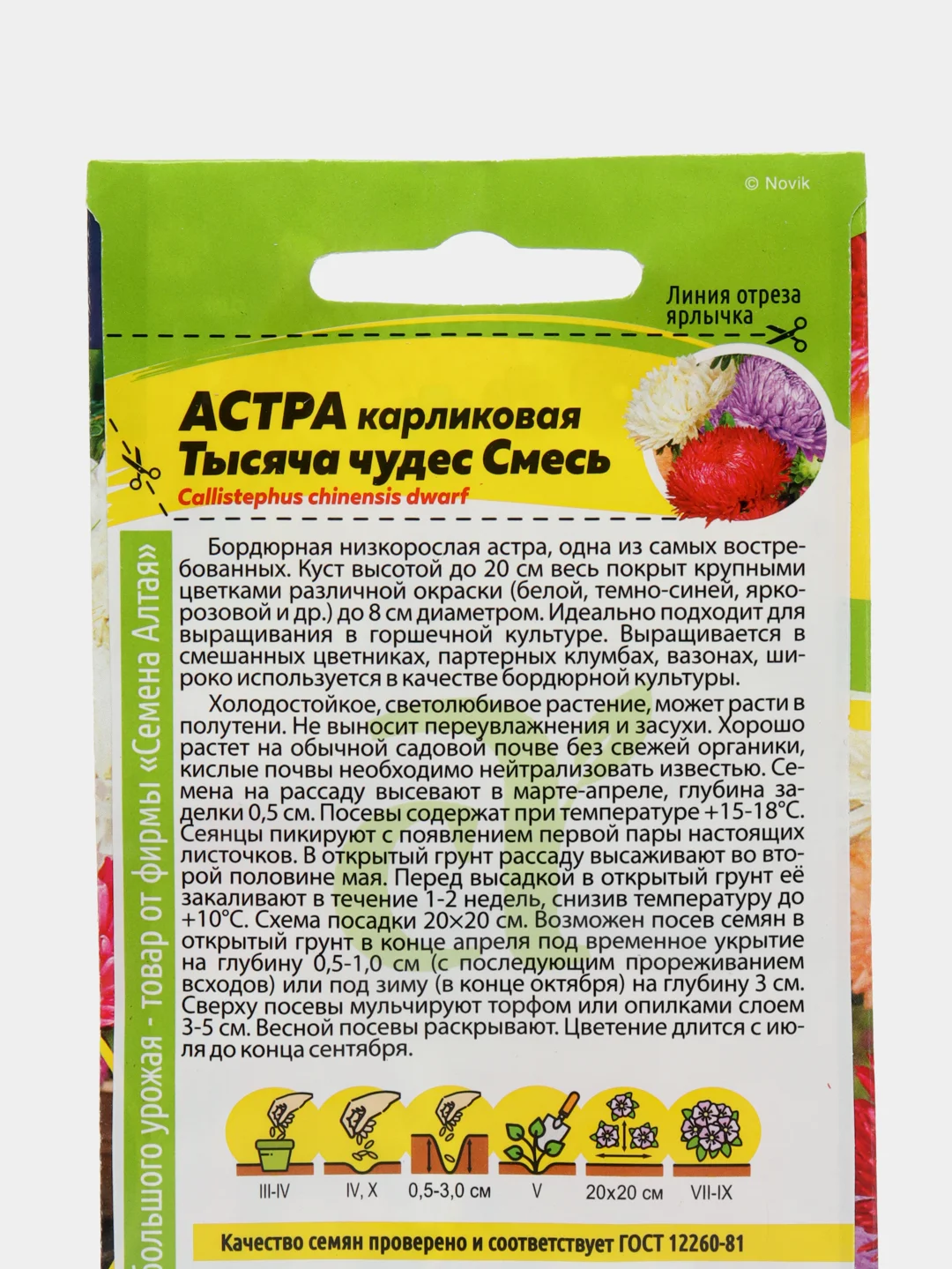 Астра Тысяча чудес смесь карликовая (семена,цветы)