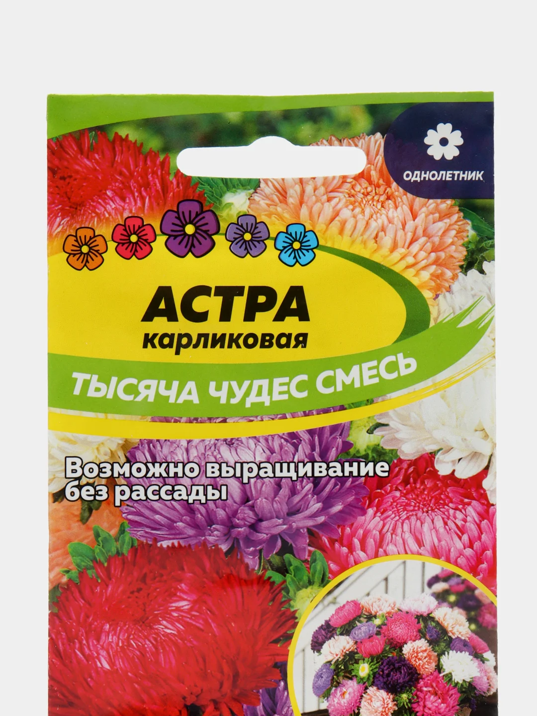 Астра Тысяча чудес смесь карликовая (семена,цветы)