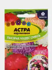 Астра Тысяча чудес смесь карликовая (семена,цветы)