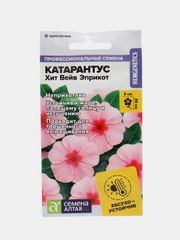 Катарантус Хит Вейв Эприкот, семена, цветы
