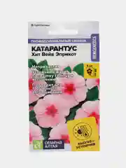 Катарантус Хит Вейв Эприкот, семена, цветы