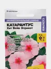 Катарантус Хит Вейв Эприкот, семена, цветы