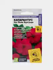 Катарантус Хит Вейв Бургунди, семена, цветы