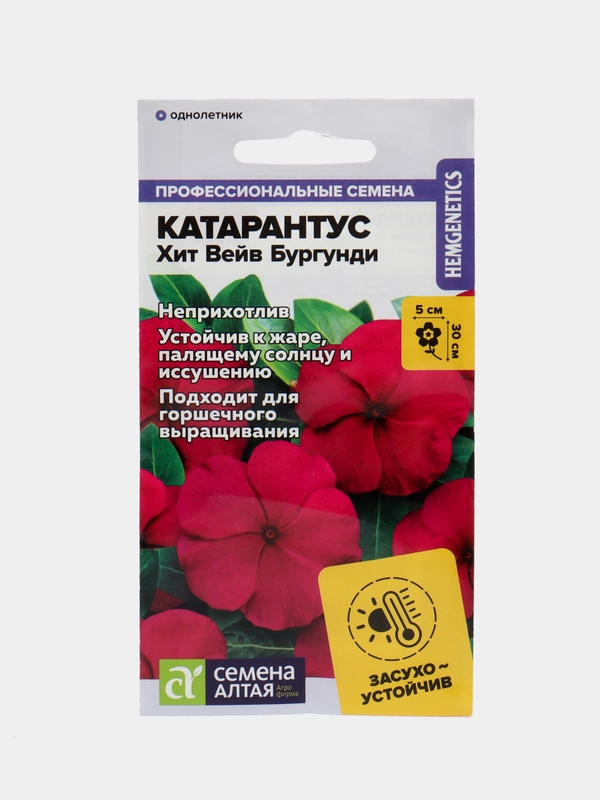 Катарантус Хит Вейв Бургунди, семена, цветы