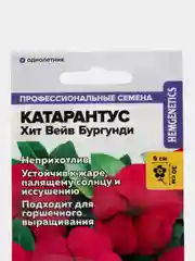 Катарантус Хит Вейв Бургунди, семена, цветы