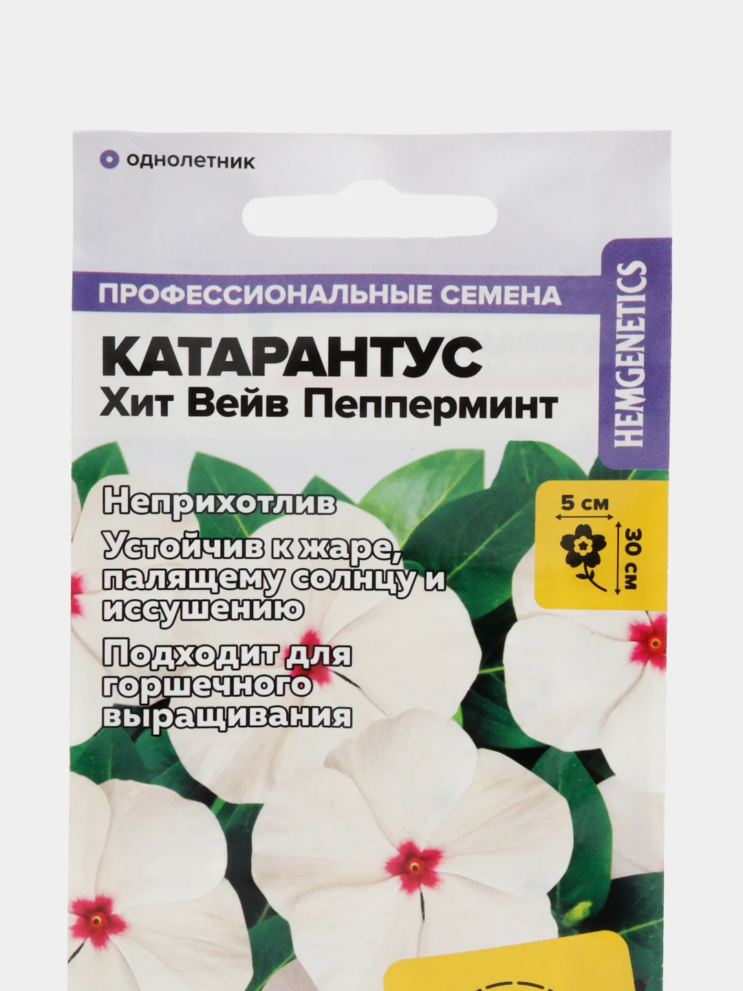 Катарантус Хит Вейв Пепперминт, семена, цветы