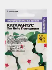 Катарантус Хит Вейв Пепперминт, семена, цветы