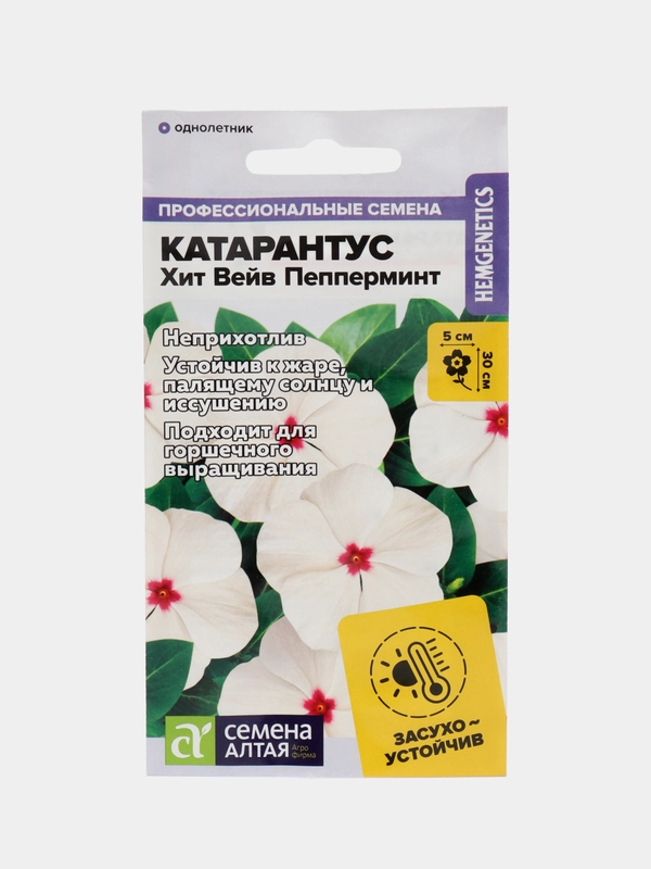 Катарантус Хит Вейв Пепперминт, семена, цветы