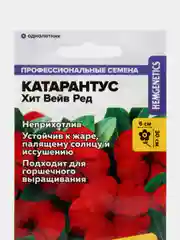 Катарантус Хит Вейв Ред, семена, цветы