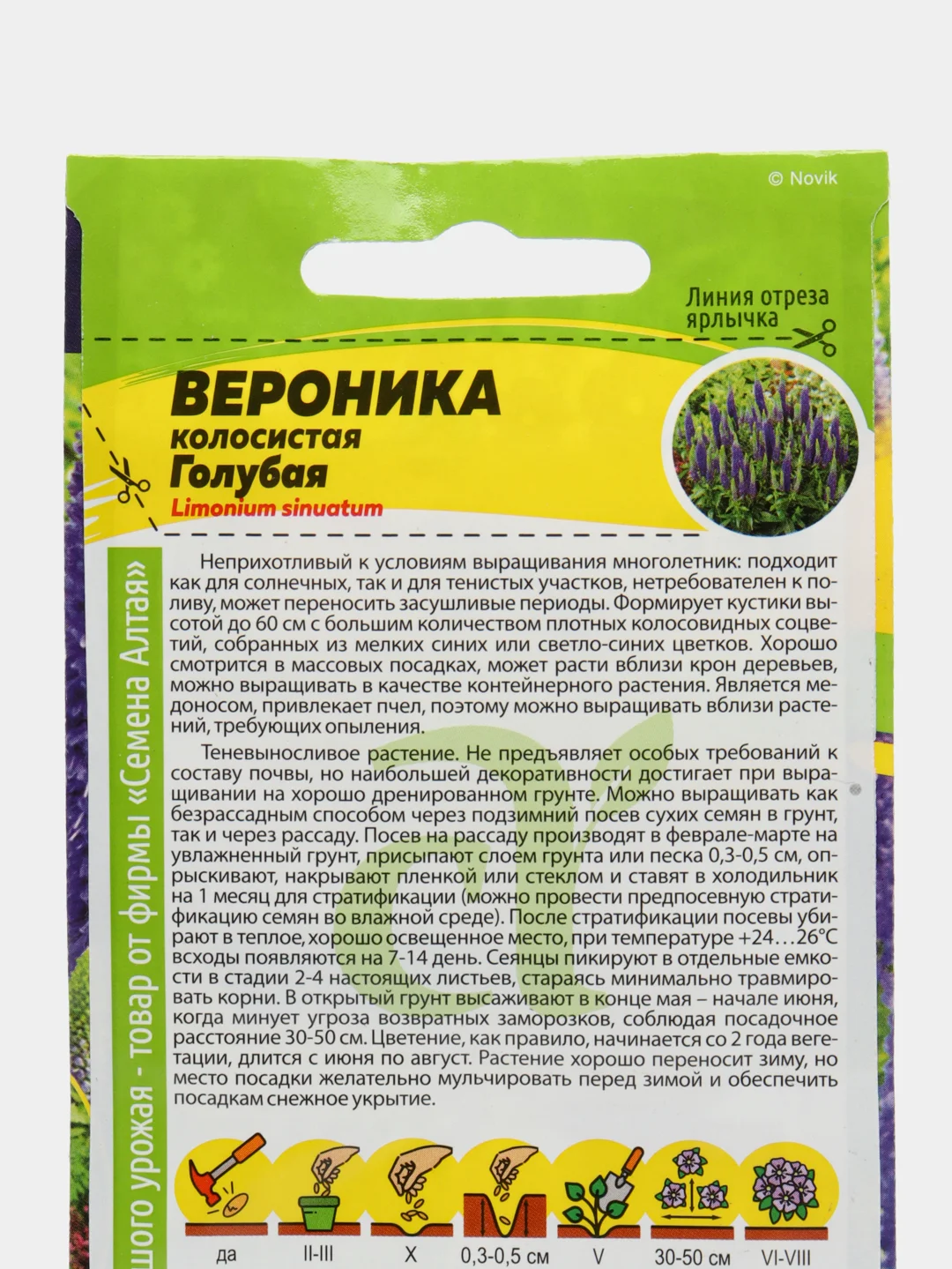 Вероника Голубая, семена, цветы