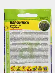 Вероника Голубая, семена, цветы