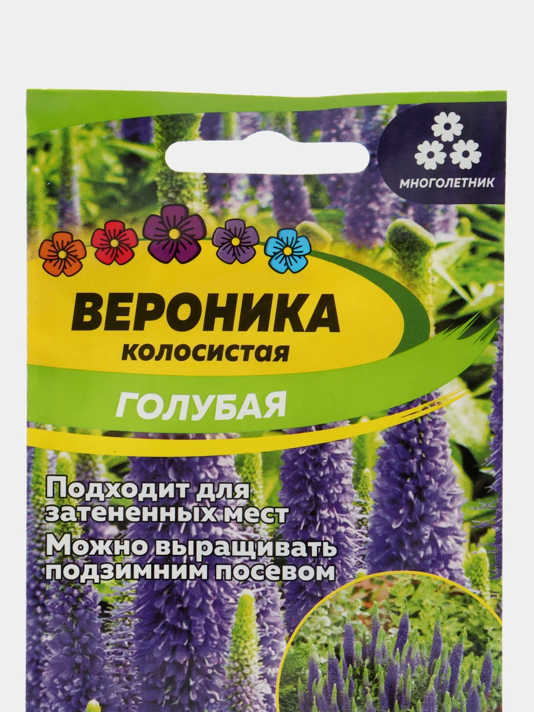 Вероника Голубая, семена, цветы
