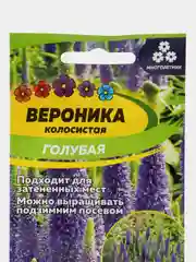 Вероника Голубая, семена, цветы