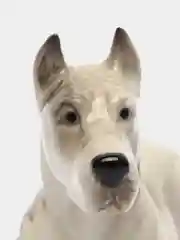 Статуэтка "Дог"
