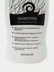 Лесной зеленый подарочный набор женский/ для женщин и девушек: гель для душа и шампунь