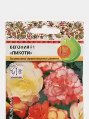 Бегония Пикоти, семена, цветы