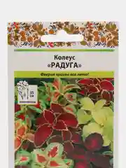 Колеус Радуга (семена,цветы)