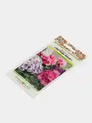 Примула "Погладь меня", семена, цветы