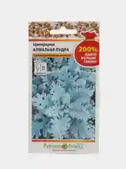 Цинерария Алмазная пудра (семена,цветы)