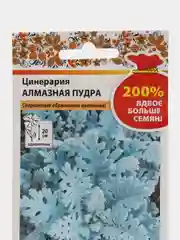 Цинерария Алмазная пудра (семена,цветы)