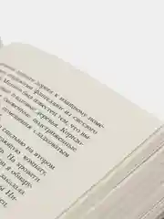 Штурм и буря, Бардуго Ли