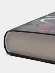 Штурм и буря, Бардуго Ли