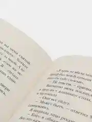 Штурм и буря, Бардуго Ли