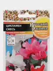 Цикламен смесь "Русский размер", семена, цветы
