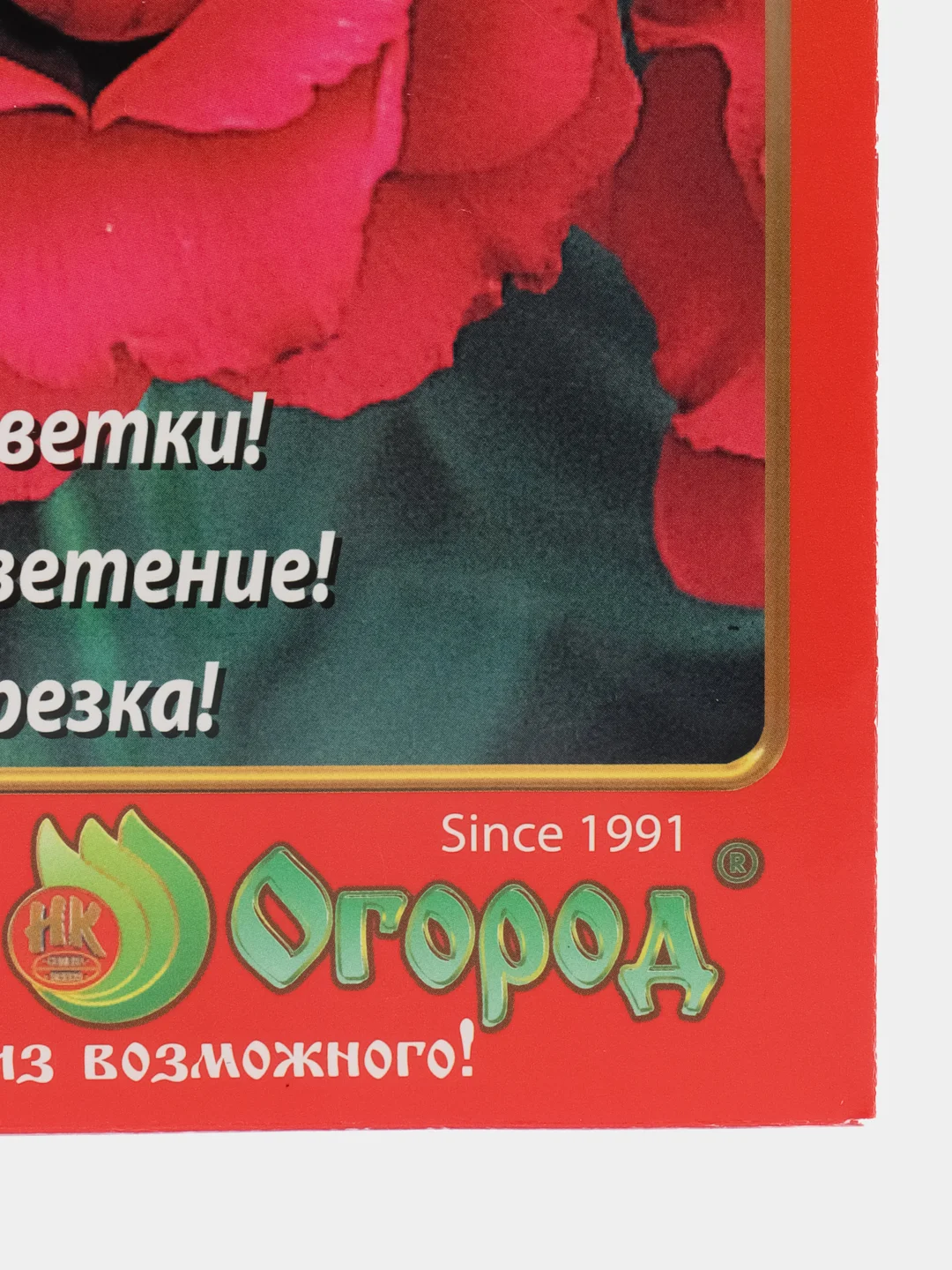Эустома Мэйдж ред, семена, цветы